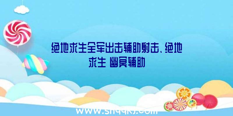 绝地求生全军出击辅助射击、绝地求生